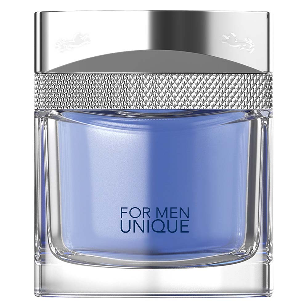 Saint Hilaire For Men Unique Eau de Parfum 100 ml
