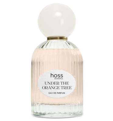 Hoss Intropia Under The Orange Tree